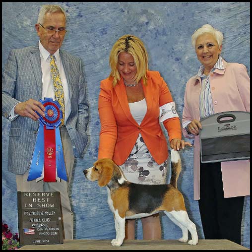 Zsa Zsa Reserve Best in Show